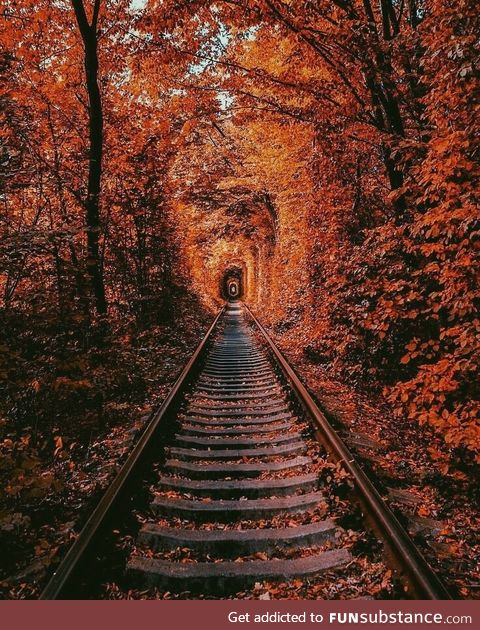 Railroad in the fall