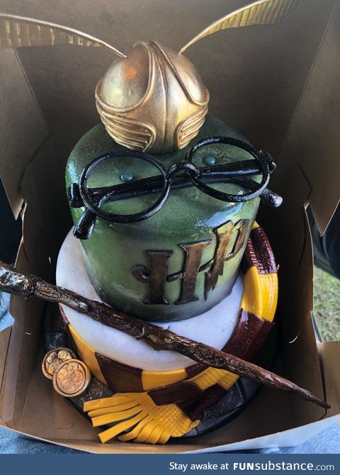 Coworker paid someone $80 to make a Harry Potter cake and they did a ridiculously good