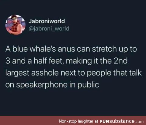 Just blue whale facts