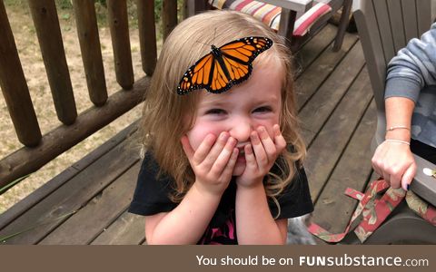 Hanging out on the deck when a monarch landed on my daughters head