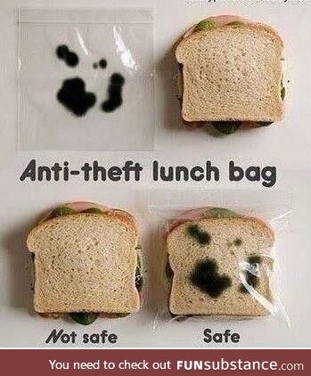 Anti-theft lunch bag