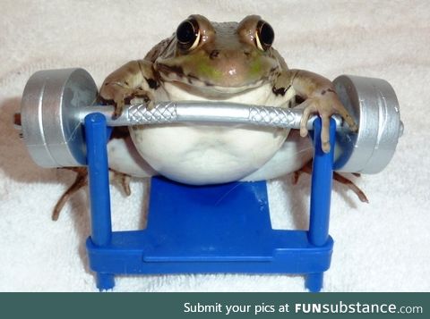 Froggo Fun #346 - "I keeps New Year's resolutions."