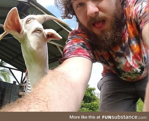 Don't use panorama with a moving goat