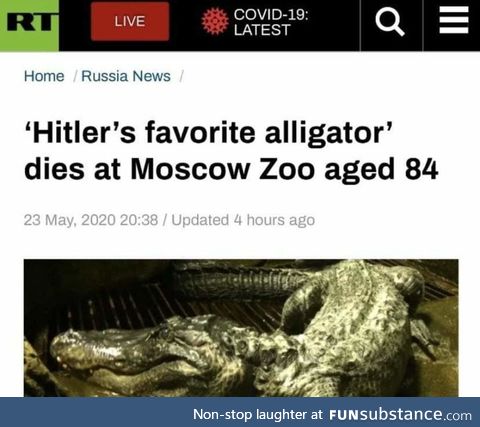 Press F for the alligator
