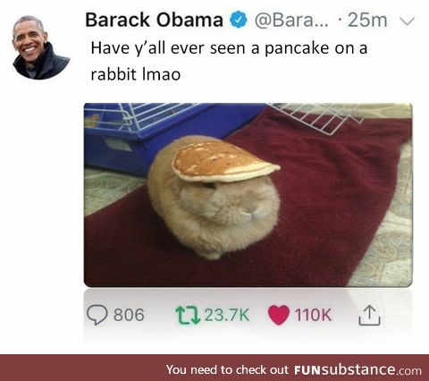 Pancake on a Rabbit