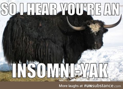 Insomni-yak