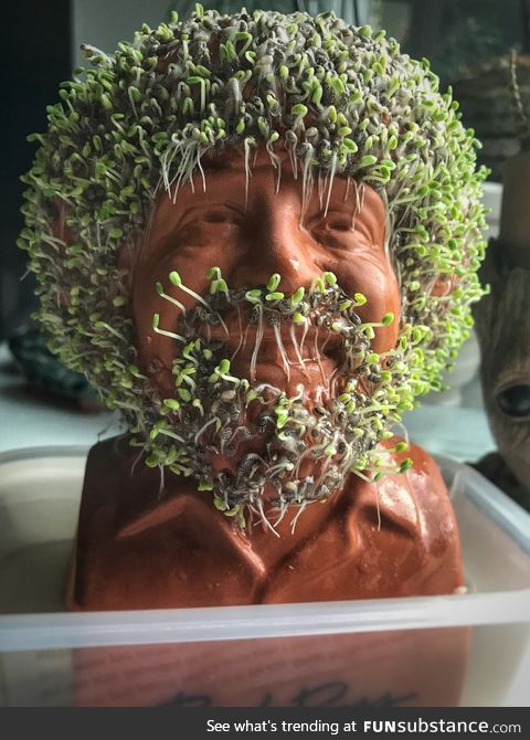 I have a chia Bob Ross and he is...Terrifying