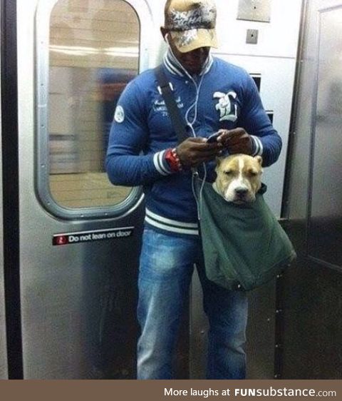 NY subway system bans canines unless they can fit in a small bag, so this guy trained his