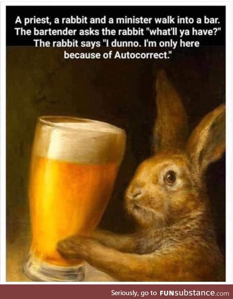Cheers bunny