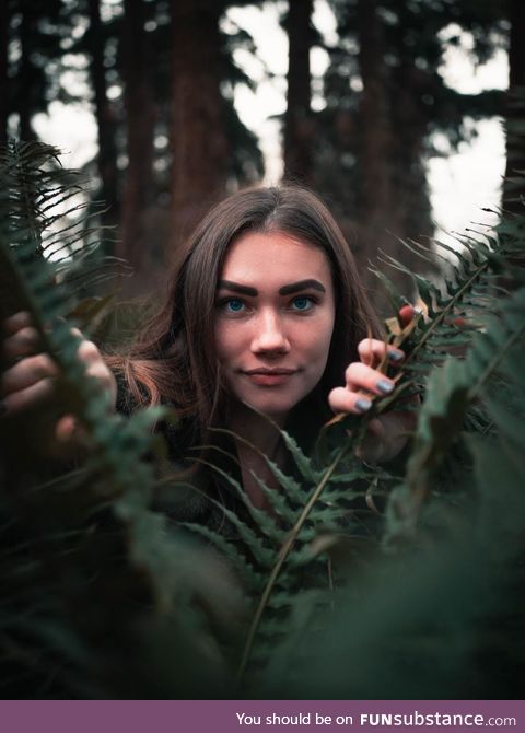 Took this photo of my friend exploring a forest in BC, Canada