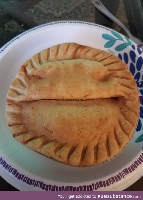 My pot pie is deciding whether or not to send Harry Potter to Gryffindor