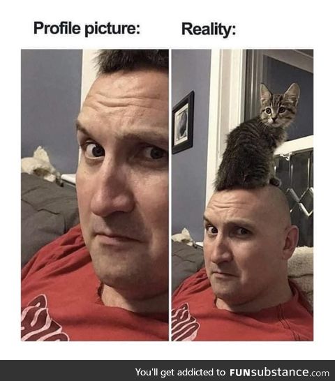 Hey guys, check out my new haircat