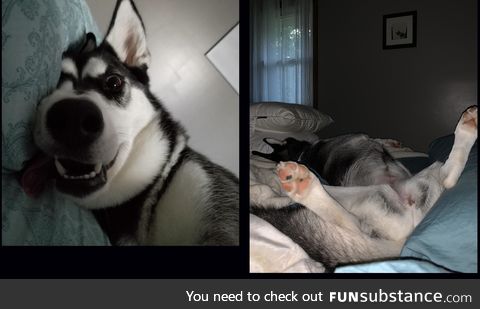 What my husband wakes up to vs. What I wake up to