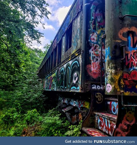 I took this picture of an abandoned train, and I thought it was super cool!