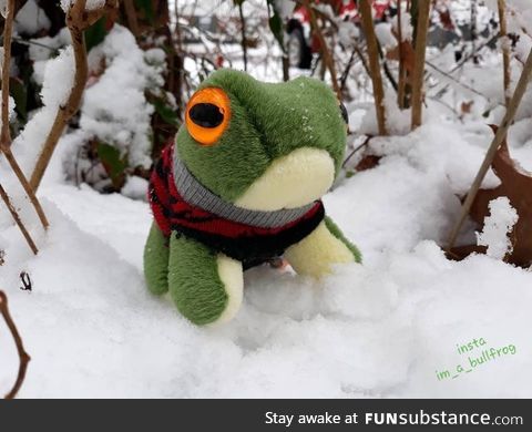 Froggo Fun #359 - The Rare and Elusive Fuzzy Snow Frog