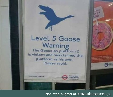 Goose Warning Level 5