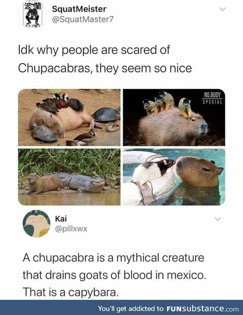 Cute Chupacabra