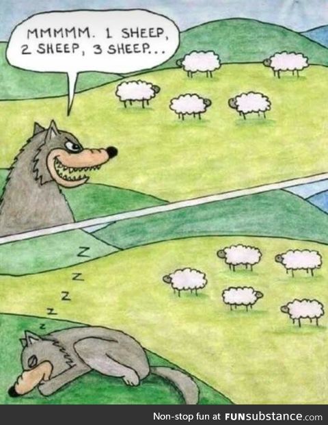 Sheep Humor (Not mine)