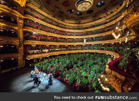 Barcelona Opera (June 22nd, 2020). "The plants were later delivered to health care