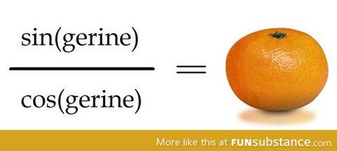 Math puns are the first sine of madness