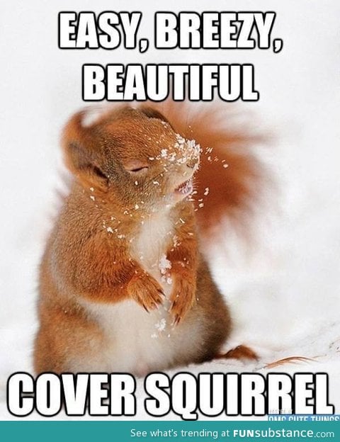 Cover Squirrel