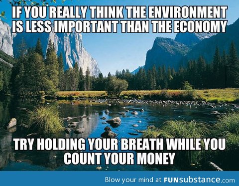 The environment vs. The economy