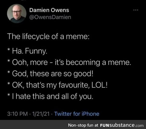 The Life-Cycle of a Meme