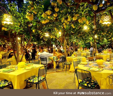 Dining under the lemon trees at Da Paolino restaurant in Capri, Italy