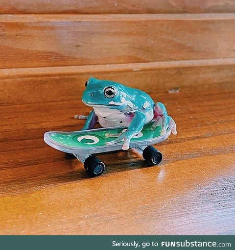 Froggo Fun #378 - Tony Frog's Pro Skater