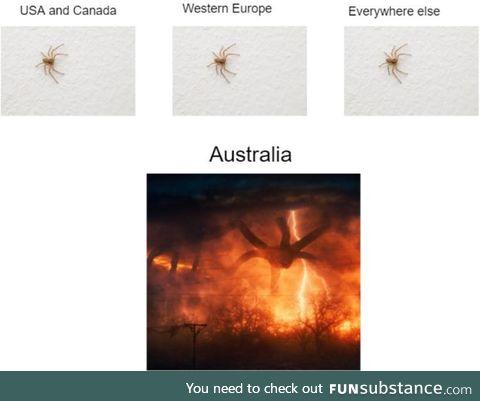 Spiders are crazy