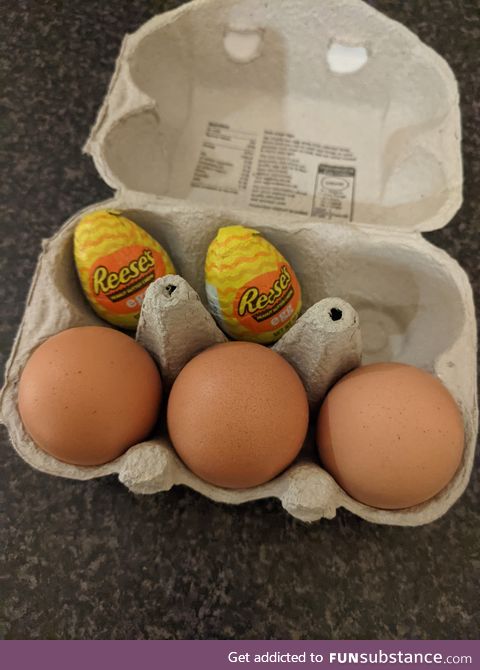 Found the perfect spot to hid these from my egg-hating, Reese's-loving boyfriend