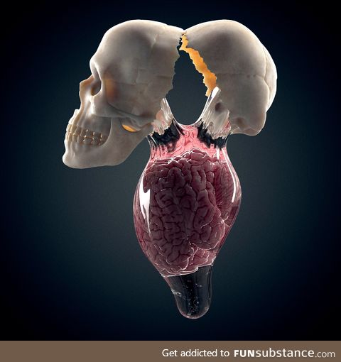 Brain yolk by ken Calvert