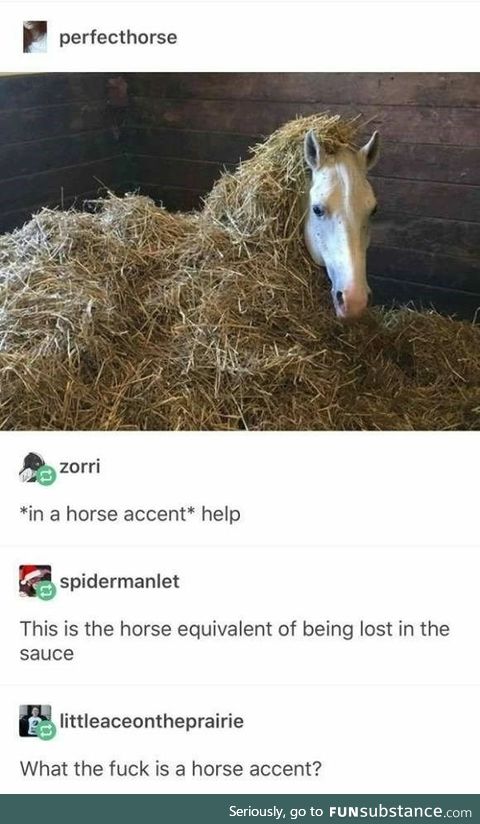 Horse with Sauce