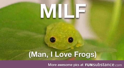Froggo Fun #383 - 'Guess I'm a m*lf