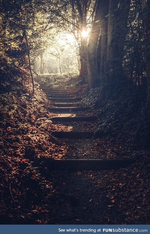 A foggy morning walk in my hometown - 10am - Weinheim/Germany