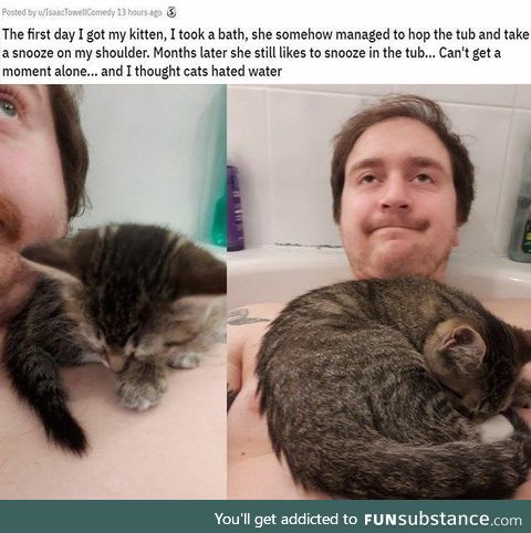 The cat in the bath knows a lot about naps