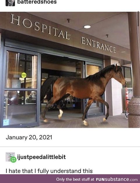 Horsepital exit