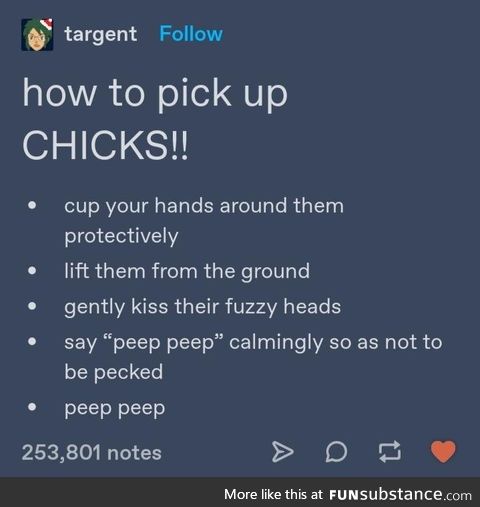 How to pick up chicks OR spring is coming