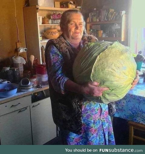 Absolute unit of vegetable you ever see