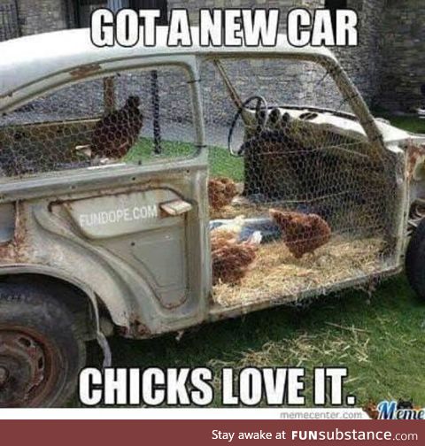 Chicks love it!