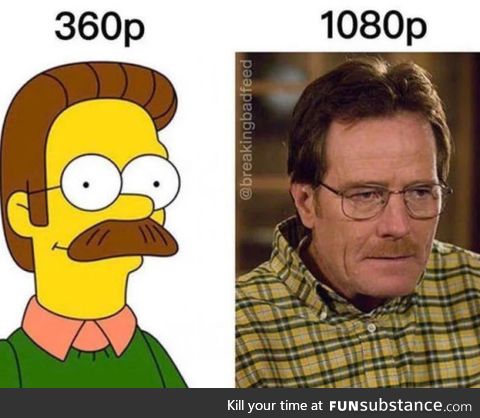 I can't believe they made Ned Flanders a real person!