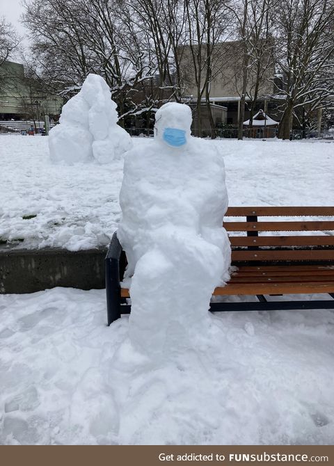 SnowBernie spotted in Seattle