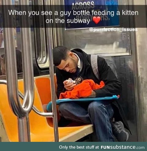 You love to see it (Guy bottlefeeding a kitten)