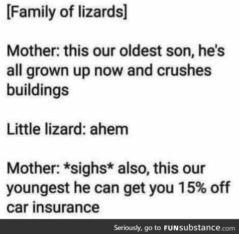 Lizards
