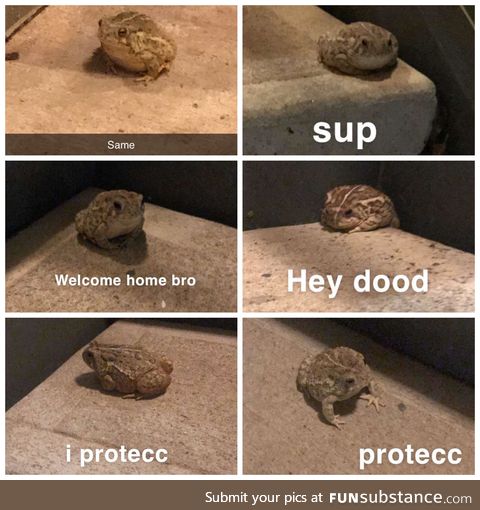 There’s this froggo outside of our apartment that my SO would snap me every night after