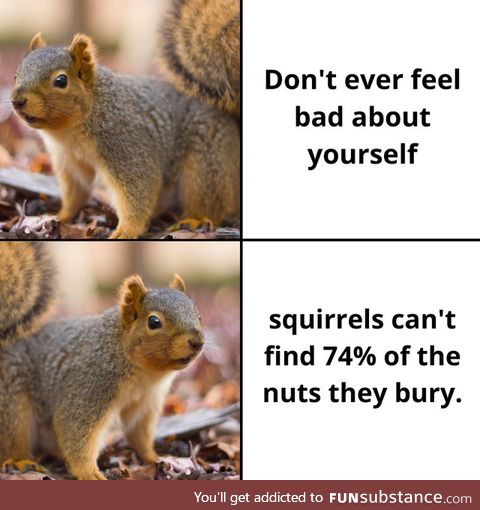 Keep your nuts close