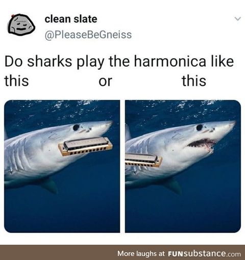My little har-Monica shark. Awww!