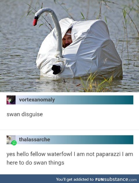 Just Swan Things