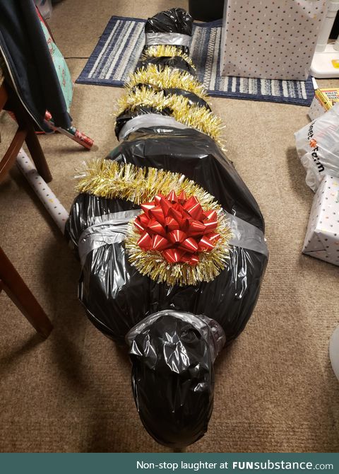 I took some creative liberties when wrapping my brother's Christmas gift