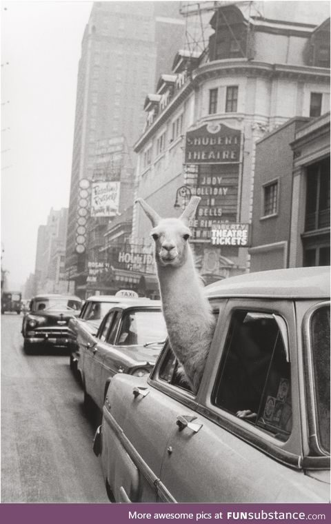 Photograph from New York City in 1957